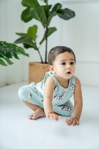 Infant Jhabla Bloomer set